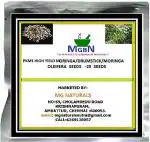 MGBN THE PATH FOR THE HEALTHIER LIFE WITH BEAUTY Pkm1 High Yield Moringa, Drumstick, Moringa Oleifera Seeds - 25 Seeds