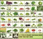 Greenery Hub Organic 45 Varieties of Mix Vegetables Seeds (2500 Per Packet)