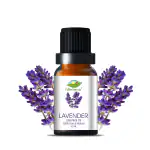 Farm Blends Lavender Essential Oil | 10ml | For Hair Growth, Youthful Skin, Hair Fall Control, Smooth Skin & Relaxed Sleep | Aromatherapy | Farm To Home | 100% Pure, Natural & Undiluted