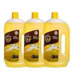 SOULFRESH 975ml each Disinfectant Floor Cleaner Liquid Citrus, kills 99.9% Germs, (Pack of 3)