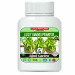 Rimi Garden Lucky Bamboo, Premium Essential Powerful Liquid Fertilizer for the Best Growth of Lucky Bamboo Plants. (100 ml)