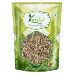 YUVIKA Apamarg Seeds - Apoot Kanta - Uttareni Seeds - Latrija Beej - Chirchita ka Beej (800 Grams)