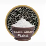 SS520 Black Wheat Flour Atta 900 g. Natural Kala Gehun Aata For Cooking (specially for diabetic) Rich in Micro-Nutrients | No Preservatives High Protein Fiber Food Gluten Free, Keto Friendly, Low Carbs