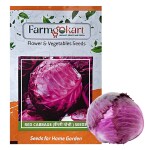 FARMGOKART |10 Gms RED CABBAGE Seeds | for Home Gardening, Farming, Hydroponics & Poly Houses|