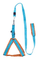 FURRY TAILS Dog Belt Padded Harness with Adjustable Belt Suitable for all Breeds (Waterproof, Medium, Brown - Sky Blue)