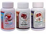 Jivan Shree Kidney Liver And Heart Health Formula Powerful Combo Ayurvedic Supplement For Full Body N Cardio Care All Problems And Creatnine Natural Process To Clean N Strength