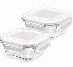 Treo By Milton Store Fresh Square Glass Storage Container Set of 2, 300 ml Each, Transparent