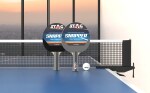 Stag Iconic Snapper Series Grey/Black Table Tennis Racket Playset with Orange Balls Perfect Your Ping Pong Skills