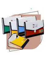 Max 527 Multicolor Folder File with 13 Section Pockets for A4 Size Sheets