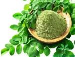 Greenery Hub Organic Moringa Seeds (10 Per Packet)