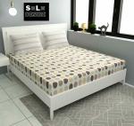 SOLO DESIRE Super King Size Elastic Fitted Bedsheets Glace Cotton 108x108 inch with 2 Pillow Cover(72 * 78+12 inch Mattress)(Beige-Circle)