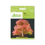 National Gardens Sugar Maple Bonsai Seeds (10 Nos)