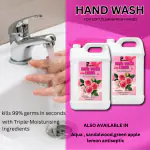 PISHARNATH Hand wash liquid pink 10Liter with Macadamia Oil and Peony Extracts, Handwash Refill Pack