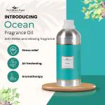 The Fragrance People Anti-Stress Ocean Fragrance Oil (1 Litre)