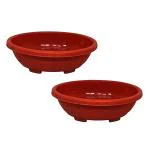 Shopmefast Plastic Imperial Oval Bonsai Pot Tray (Pack Of 2)