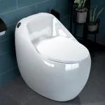 Plantex Platinium Ceramic Rimless One Piece Western Toilet/Water Closet/Commode With Soft Close Toilet Seat - S Trap Outlet (APS-3001, White Glossy)