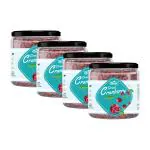 RRAAMS' DRIED CRANBERRY 200GM|HEALTHY | GLUTEN FREE | DRIED CRANBERRIES 200GM (PACK OF 4)