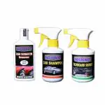 Indopower Ff675-DASHBOARD SHINER GUN 250ml+SCRATCH REMOVER 100gm+ CAR SHAMPOO GUN 250mL