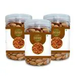 Nutrigain Organics Premium California Almonds, 250 Gm Each (Pack Of 2 )
