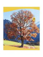 Youva Navneet Soft Bound Notebook 15.5x18.8 cm Single Line 172 Pages - Pack of 6