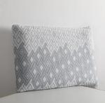 Dr.Soft Orthopedic Memory Foam Pillow Cotton Nature Sleeping Pillow Pack of 1 (White&Blue)