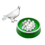 Taiyo Pluss Discovery Pigeon Egg Bowl Pigeon Breeding Nest Bowl For Hatching Eggs For Pigeon