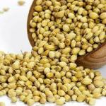 Brcart Coriander Seeds Whole, 200 g