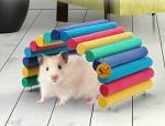 Sage Square Raindow Wooden Suspension Bend Bridge Cum Hide House Cum Chew Toy For Hamster Rat Bird