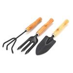 Zollyss 3 Pcs Mini Garden Tool Set Gardening Shovels, Spade, Rale with Wooden Handles