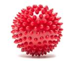 PSK Pet Mart Dogs Chew Play Ball