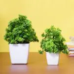 Dekorly Set of 2 Green Artificial Plants for Home Decor - Best Different Types of Decorative Plants Artificial Flowers with Pot