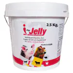 REFIT ANIMAL CARE Copper, Calcium & Iron Vitamin Supplement for Pig, Cow, Cattle & Poultry, 2.5 Kg, I-Jelly