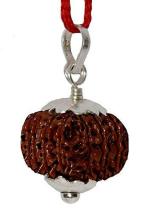 Feel Touch Mart Certified Original Rudraksha Nepal 21 Mukhi Brown Bead with Pendant & Thread