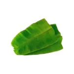 Plantzoin Banana leaf Kele ka patta Kadali patra(10 Piece) 12 Inch Each for Worship/Rituals