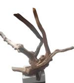 Blueheavens Aquarium Hardscap Material - Driftwood - Blueheavens Aqua-Art Sticks (5 Aqua-Art Driftwood Sticks)