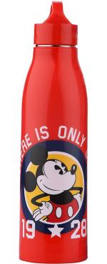 Ski Cool Kids Insulated water bottle with Steel Inner surface, 700 Ml