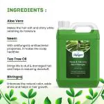SKENGERS Neem And Aloevera Herbal Hair Shampoo, SLS And Paraben Free (1 Ltr )