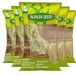 i Agrifarm Organic Alfalfa Sprouting Seeds - 5 Kg/Perfect for Sprouting and Microgreens/Alfalfa Sprout Seed