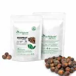 Kanan Naturale Soapnut powder( Aritha/Reetha)200gm (pack of two-100gm each)