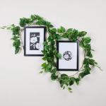 Alment Green Plastic Money Plant Bail For Wall Decor - 7.25 Feet x 1 Vine