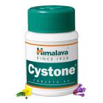 Himalaya Cystone Tablets - 60 Count