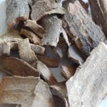 Xetomos Kutaja Kuda Kutaj Tellicherry Holarrhena Antidysenterica 100g