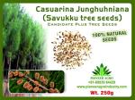 Bokashi Bran Casuarina Savukku Seeds 280 g