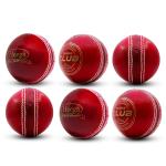 Heega Choice Of Champion Red Leather Super Club Natural Ball (Pack Of 6)