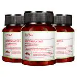 JIVA Ashwagandha Tablet - Revitalise Body & Mind - 60 Tablets Each - Pack of 3 (Pack of 3)