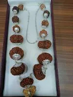 Feel Touch Mart 1 to 14 mukhi rudraksha original certified nepali rudraksha siddha mala 1 to 14 Nepal Rudraksha Brown Bead Precious Pendant 1 14 mukhi rudraksha mala Natural Sarva Siddha Rudraksha Jaap Mala