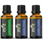 MNT Diffuser Oil Lemongrass, Eucalyptus, Ylangylang Each 15 ml (Combo Of 3)