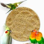 Jai Shoppee Birds Food | Thinai - 200g
