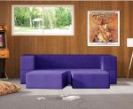 Dr Smith 2 Seater Double Foam Fold Out Sofa Cum Bed (Finish Color - Purple Delivery Condition - Pre-assembled)