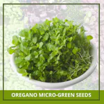 Farmgokart 400 Nos of OREGANO Microgreen Seeds | Best Suitable For Terrace And Home Gardening-